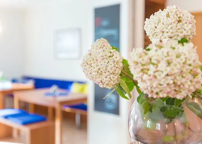 Steigerwaldpension בית הארחה Wiesentheid
