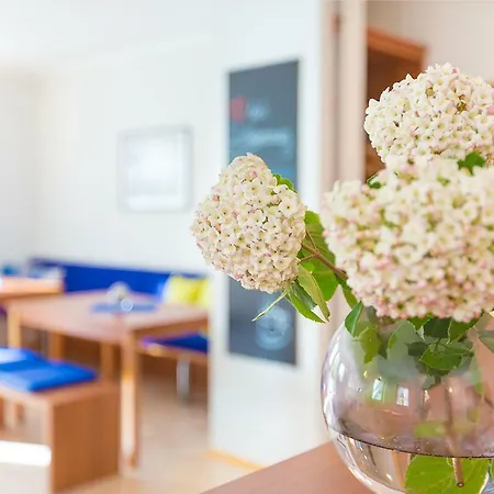 Steigerwaldpension Pensjonat Wiesentheid